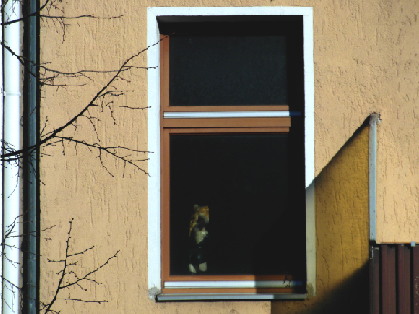 sunny-afternoon_Berlin-Wedding_facade