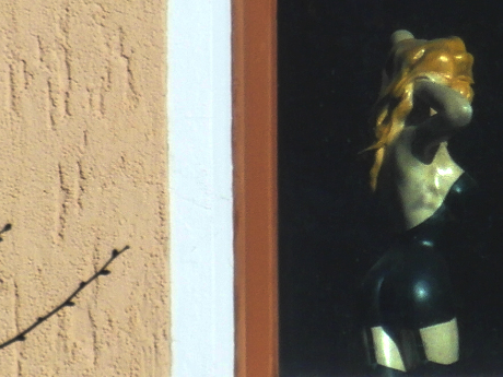 sunny afternoon Berlin window beauty